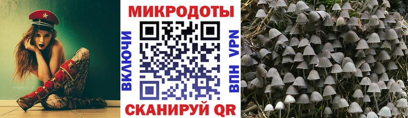 купить   shop формула  Галлюциногенные грибы Psilocybine cubensis  Нижнекамск 